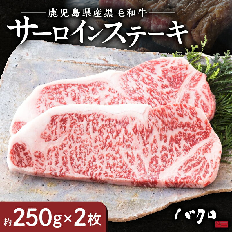 【ふるさと納税】 鹿児島黒牛 サーロインステーキ 250g × 2枚 サーロイン ステーキ 牛肉 国産 黒毛和牛 黒毛 和牛 脂の旨み 焼肉 鉄板焼き お料理 ごはんのおかず 食品 黒牛 お取り寄せ お取り寄せグルメ 冷凍 鹿児島県 奄美市 送料無料
