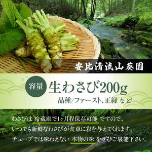 岩手県産 生わさび 200g 【安比清流山葵園】 ／ 山葵 ワサビ わさび 薬味 国産 八幡平市産 産地直送 新鮮 調味料 刺身 ステーキ お肉 蕎麦 和え物 漬け物 刻み おろし 辛味 和食 お寿司