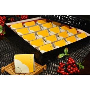 高級南高梅はちみつ梅個包装20粒入 紀州塗箱 網代模様仕上【1465313】