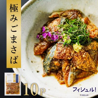 ふるさと納税 福岡市 【福岡市】フィシュル!福岡名物 ごまさば 10Pセット EK12