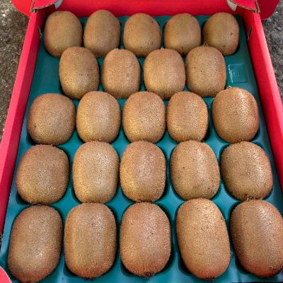 ふるさと納税 紀の川市 【和田果樹園】秀品　紀の川市産キウイフルーツ　ヘイワード |  | 03