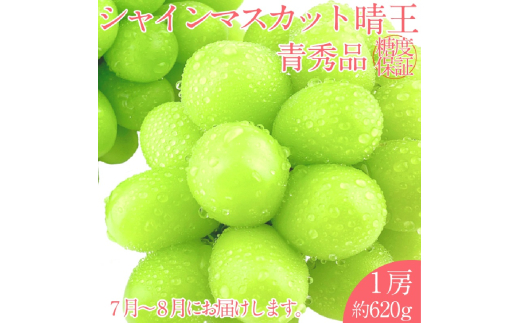 【2025年 予約受付中】 シャインマスカット 晴王 1房約620g 7月～8月出荷/ 岡山県産 種無し 皮ごと食べる みずみずしい フレッシュ 晴れの国 おかやま 果物大国 彩美菜果