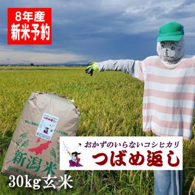 ふるさと納税 燕市 【8年産新米 先行予約】おかずのいらないコシヒカリ「つばめ返し」玄米 30kg 未検査米