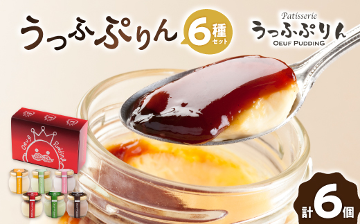 
うっふぷりん6種セット　6個入【1440611】
