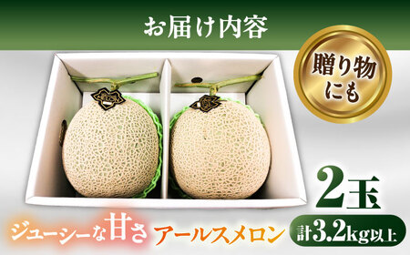 アールスメロン 2玉 / メロン 南島原市 / うえだメロン園[SAD004]