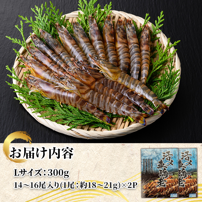 n429 鹿児島県産！活き〆冷凍車海老(Lサイズ・計約600g) 化粧箱入り！ くるまえび 海老 海鮮 海産物 国産 九州産 急速冷凍 ギフト 車海老 真空パック 養殖 冷凍 【車海老日本株式会社】