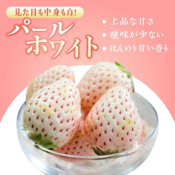 【全4回定期便】いちごさん・パールホワイト / 佐賀県 / かわさきいちご [41ASBJ005]