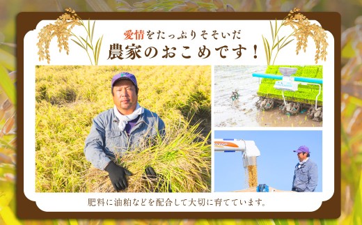 【定期便】日永園 ヒノヒカリ 白米3kg×12ヶ月