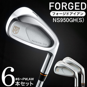 PREMIUM-216 CAVITY #6～Pw,Aw(NS950 S) 　680BE07N.／ゴルフ ゴルフクラブ アイアン キャビティアイアン