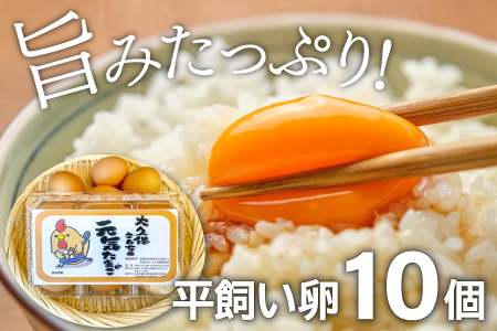 A-793 新鮮！季節のお野菜と平飼い卵のセット（10～12品）