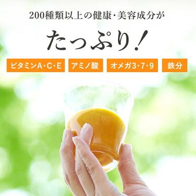 ふるさと納税 古河市 【定期便11カ月】サジー グアマラルサジー 1000ml 毎月1本11カ月コース _DX30 |  | 01