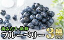 【ふるさと納税】3種の手摘みブルーベリー食べ比べ （100g × 3パック)＜お試し商品＞　MN-9