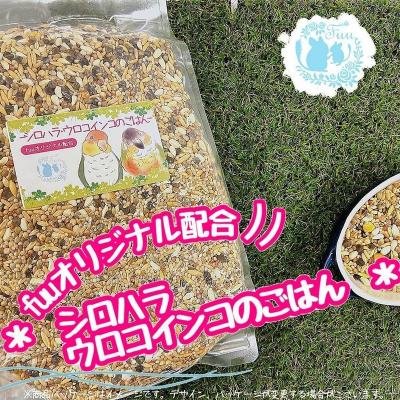 ふるさと納税 小牧市 【3ヶ月定期便】fuu シロハラインコ・ウロコインコのごはん(10kg)[145S60-T]