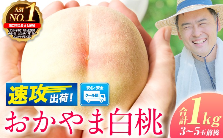 
                  【絶賛出荷中！】桃 もも ご家庭用/訳あり おかやま白桃 もも 1kg 3~5玉前後 岡山県産《1-5営業日以内に出荷（土日祝除く）》岡山県 浅口市 白桃 黄桃 白鳳 清水白桃 おかやま夢白桃 川中島白桃 白皇 黄金桃 果物 桃 2026 先行 桃 先行予約2026 桃 先行予約2026 桃 白鳳 桃 
                