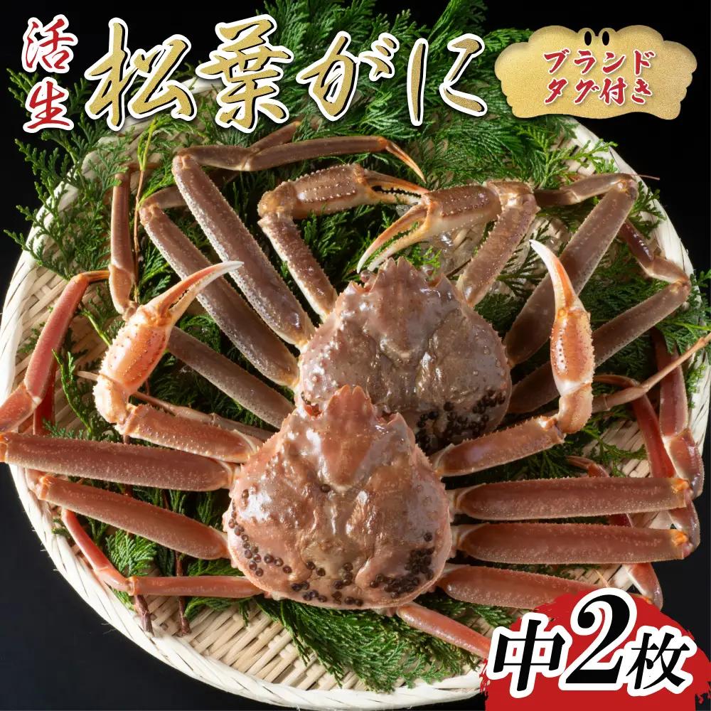 【活生】ブランドタグ付き松葉ガニ 中2枚 2026年11月～順次発送｜鳥取 岩美 松葉がに かに【22052】