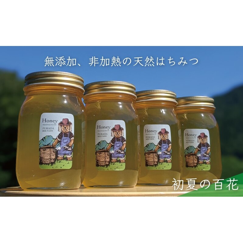 合計2400g 天然蜂蜜 国産蜂蜜 非加熱 生はちみつ 岐阜県 美濃市産 初夏 (蜂蜜600g入りガラス瓶4本)B8_イメージ1