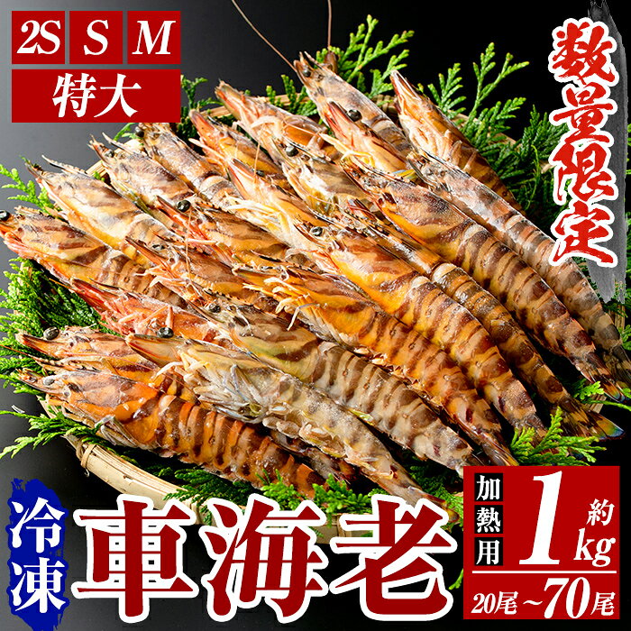 【ふるさと納税】＜数量限定＞冷凍 車えび 約1kg 2S〜特大サイズ(20尾〜70尾・加熱用) 冷凍 エビ えび 海老 車海老 くるまえび 加熱用 エビフライ 天ぷら おかず BBQ バーベキュー 選べる サイズ 【MBC開発】