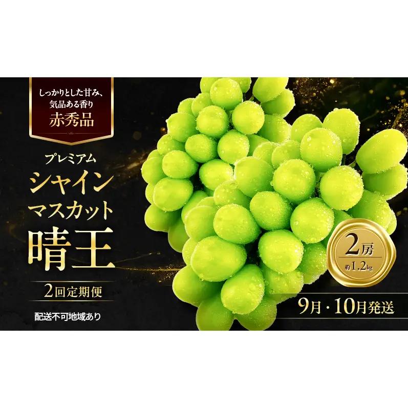 ぶどう 2026年 先行予約 定期便 赤秀ぶどう プレミアム シャインマスカット 晴王 2房 1.2kg 9月・10月 2回発送  岡山県産 シャインマスカット