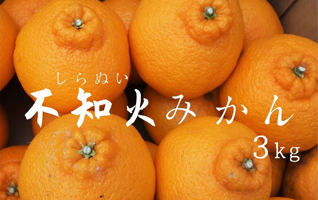 
            【先行予約＿2026年出荷分】湯の花　不知火3kg箱セット　【 不知火 清見 ポンカン 柑橘 果物 野菜 フルーツ 果物詰め合わせ フルーツ詰め合わせ フルーツセット 伊豆 南伊豆 】　<BC-78>
          