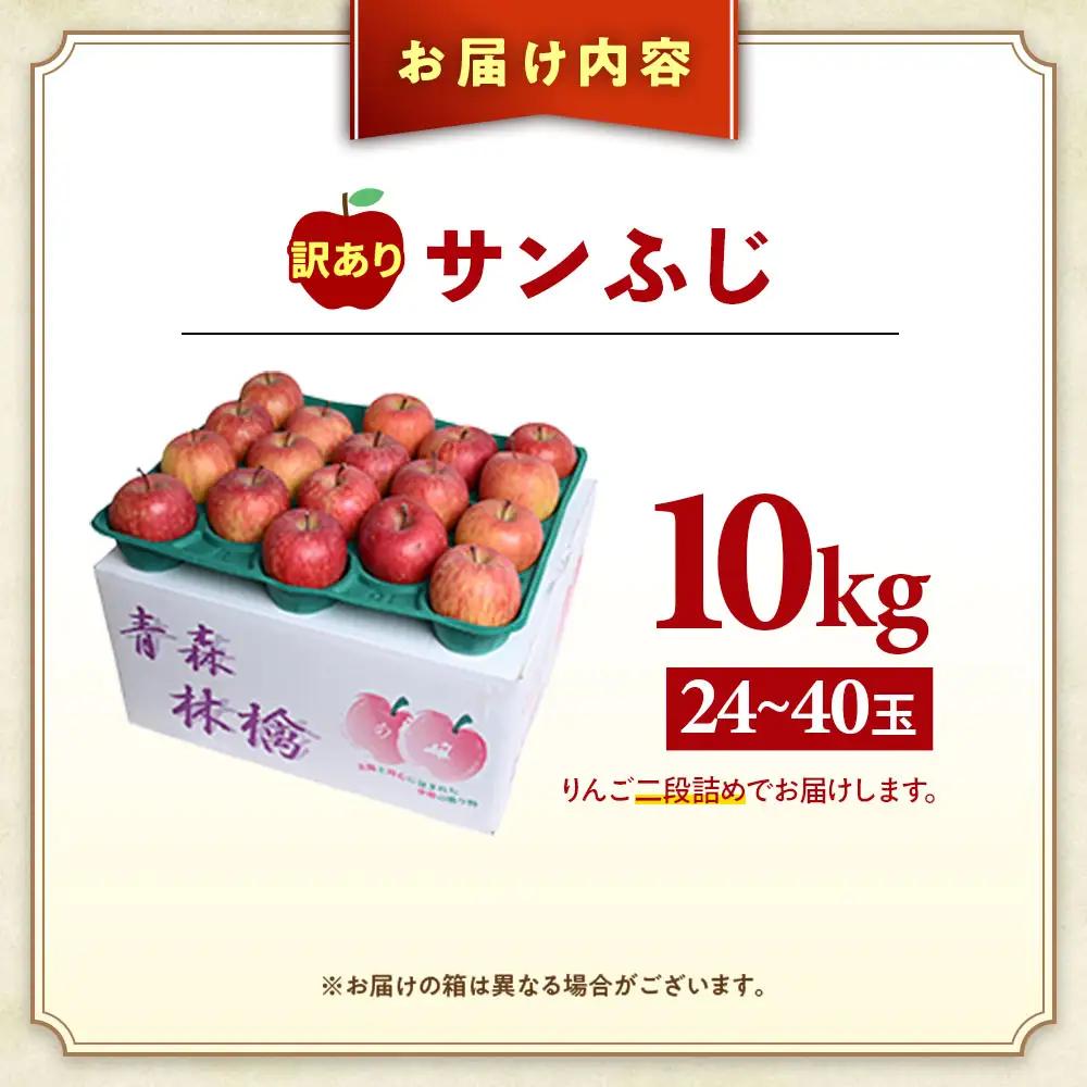 【訳あり】 大容量 青森県産りんご 1月～ サンふじ 10kg りんご