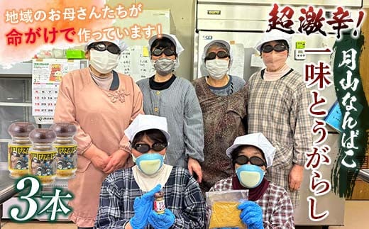 
FYN9-733 山形県西川町産 月山なんばこ 超激辛 3本セット 香辛料 調味料 スパイス 辛い
