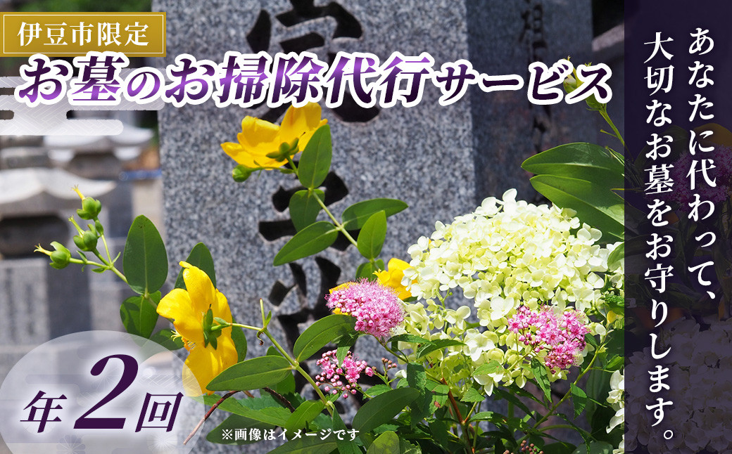 
（伊豆市限定）お墓のお掃除代行サービス 年2回 【お彼岸 お盆 掃除 お参り 献花 伊豆 静岡県】B-044　
