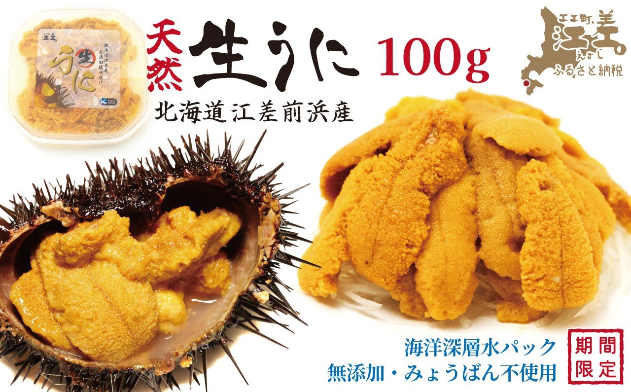
            ＼2026年先行予約／北海道 江差前浜産 生うに 100g【天然・無添加・みょうばん不使用】令和8年　江差産キタムラサキウニ　日本海熊石産海洋深層水　塩水ウニ　素材を生かした自然の味　国産うに　雲丹　100グラムパック個包装
          