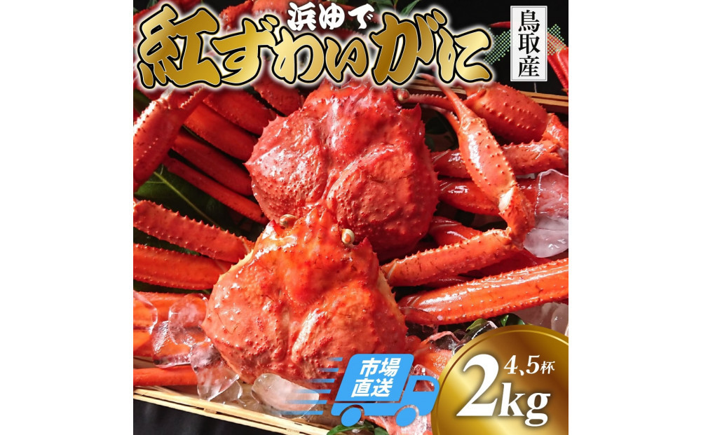 鳥取から直送！ 釜茹で 紅ズワイガニ2kg(4～5杯) 未冷凍【ボイル】 312011_FR002
