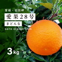 【ふるさと納税】【先行予約】【数量限定】Saito Orange Farmの愛果28号(まどんな)3kg ｜ 柑橘 みかん ミカン フルーツ 果物 愛媛 高級 ブランド 限定 品種 甘い 　※離島への配送不可　※2025年1月下旬頃より順次発送予定