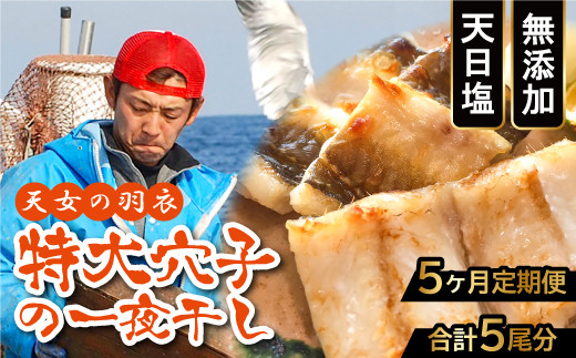 【全5回定期便】特厚 特大 穴子 一夜干し 1尾×5回【国産 干物 魚介類 無添加 冷凍】