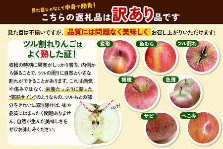 りんご【先行受付】【訳あり】家庭用 百年木の香 三上農園 サンふじ ギフトセット