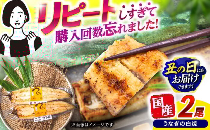 
            【最速発送】＜諫早淡水＞うなぎ白焼き2尾 / うなぎ ウナギ 鰻 白焼き 白焼 国産 冷凍 小分け / 諫早市 / 活うなぎ問屋 諫早淡水 [AHAT011]  最速 最短 スピード 発送
          