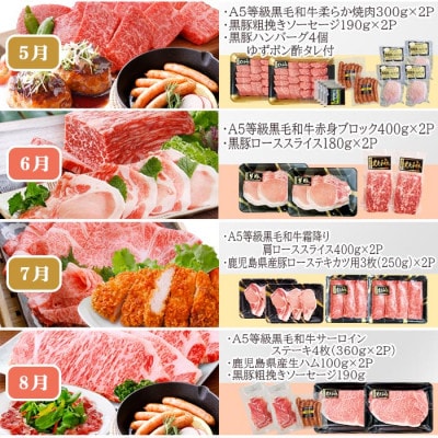 お肉の定期便(12回)枕崎お楽しみ便(A5等級黒毛和牛・黒豚・黒豚加工品etc) KK−6003【1166746】