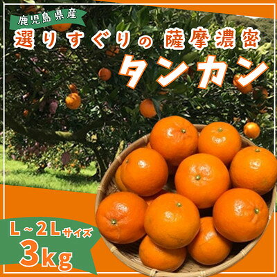 【ふるさと納税】【2027年2月中旬頃より順次発送】選りすぐり薩摩濃密タンカン 3kg【1784705】