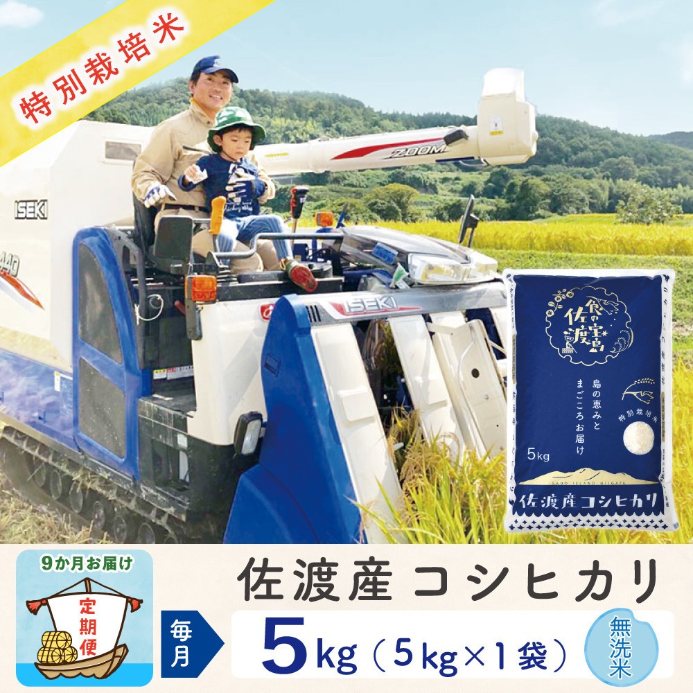 【令和8年産新米 9ヶ月】佐渡島産コシヒカリ 無洗米 5kg 特別栽培米195962-3223