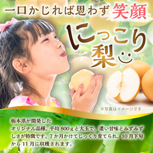 【栃木県共通返礼品】 JAなすの産　梨　にっこり　5kg ns096-001 にっこり梨 果物 国産 ﾌﾙｰﾂ 果肉 果汁 和梨 食品 ﾃﾞｻﾞｰﾄ
