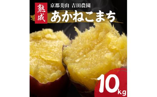 
                  産地直送 さつまいも 10kg 熟成 あかねこまち 京都丹波産 【※予約商品26年12月より順次発送】
                