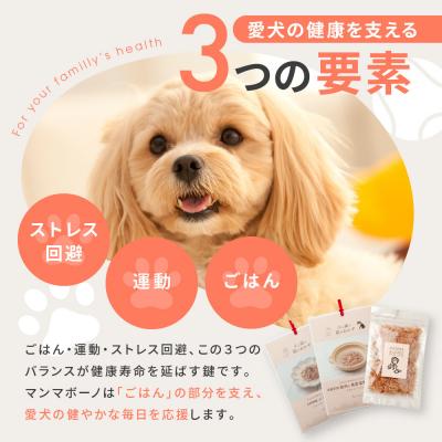 ふるさと納税 京都市 【MANMA BUONO】犬の手作りごはん お試しAセット3種|ペットフード 有名 人気ペットフード |  | 01
