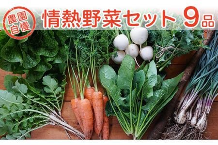 農園自慢の情熱野菜セット（9品）【野菜 野菜セット おすすめ 詰め合わせ 野菜詰め合わせ】