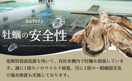 牡蠣 3種 食べ比べ セット 厚岸オイスター★オールスターズ 生食 殻付き 牡蠣
