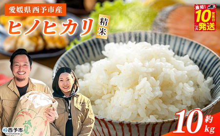 ＜令和7年産 西予市産 ヒノヒカリ 精米 約10kg＞ 選べる 内容量 ひのひかり お米 米 コメ こめ 白米 国産米 単一原料米 ご飯 10キロ お弁当 雑穀 特産品 愛媛県産 株式会社宇都宮米穀 愛媛県 西予市【常温】『最短10営業日以内に順次出荷予定』NKU0012