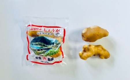 生姜 小分け 100g×5袋　高知県産 国産 囲い生姜 使い切りサイズ 低農薬 お試し
