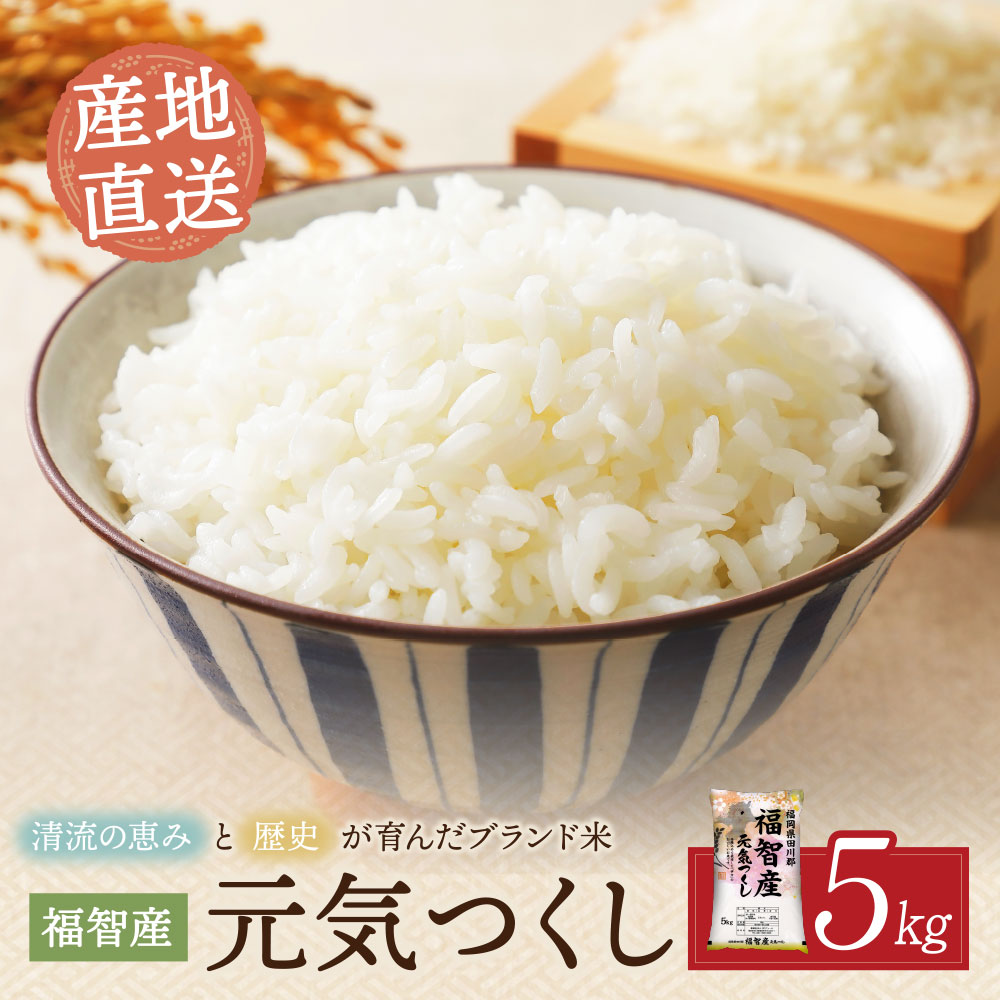 【ふるさと納税】 レビューキャンペーン 福智町産ブランド米 元気つくし 5kg ブランド米 福岡県産 お米 こめ 日常 銘柄 おいしい 人気 5キロ げんきつくし 産地直送 伊方 福岡県 福智町 国産 送料無料 《福智町チャンス》