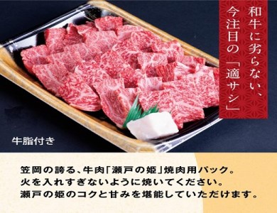 B-07 瀬戸の姫（焼肉用）