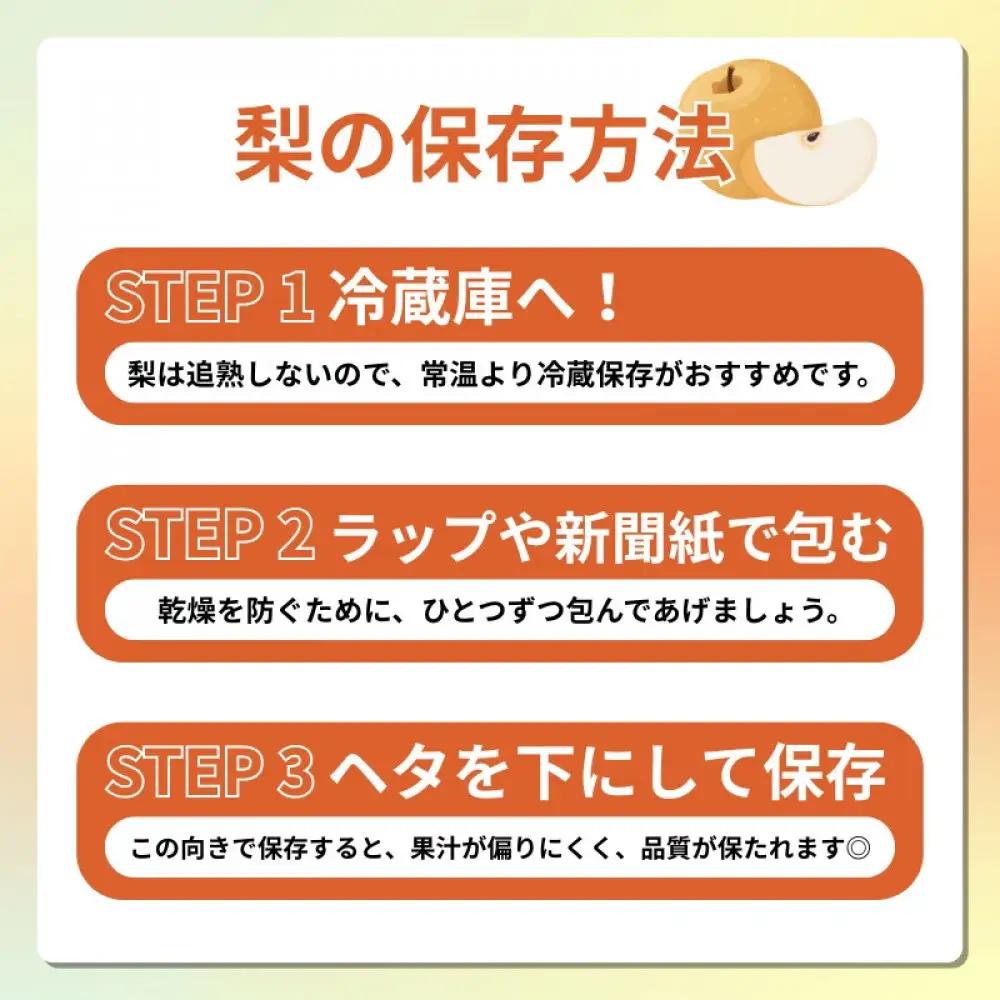 長野市産 梨 3kg（6～12玉）【2026年9月上旬以降発送予定】(さらしな青果) | 梨 フルーツ