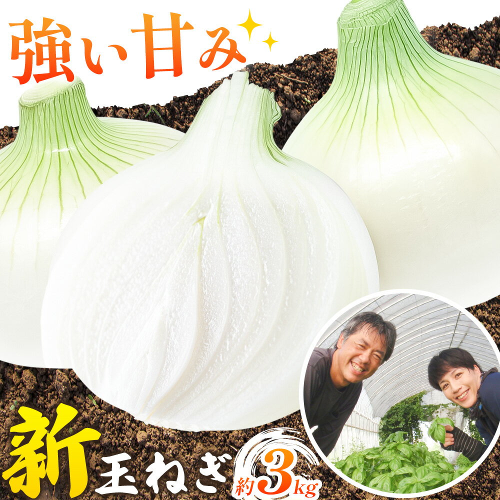 【ふるさと納税】玉ねぎ 有機 玉ねぎ 約3kg 《4月上旬‐8月上旬頃出荷》ファームゆうき 和歌山県 岩出市 たまねぎ タマネギ 玉葱 野菜 送料無料