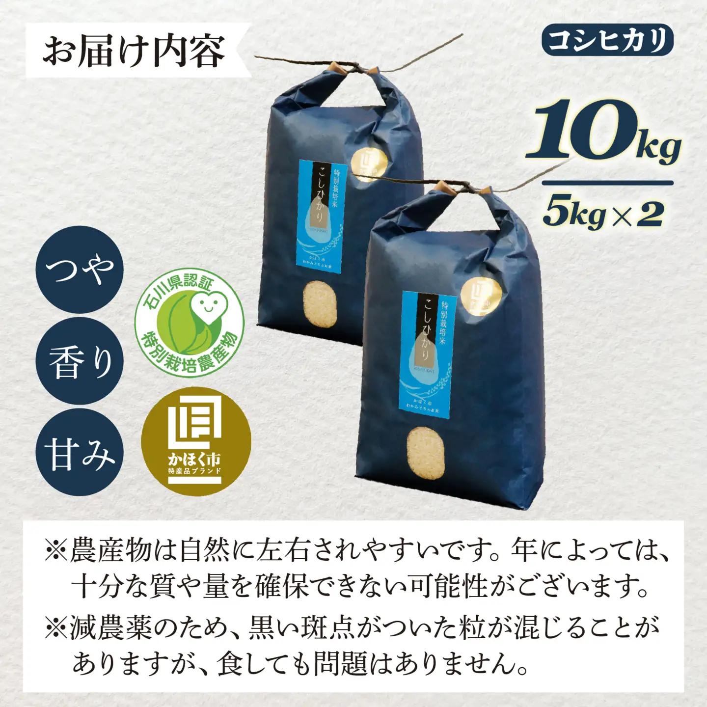 【先行予約】こしひかり 10kg【2027年3月発送】｜ コシヒカリ お米