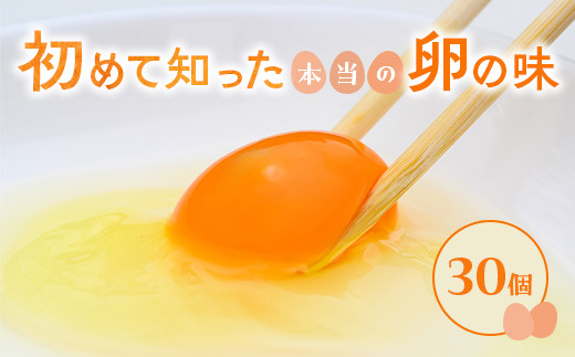小久保ファーム　濃厚卵黄　産みたてたまご　赤玉30個入り（M玉） | 卵 玉子 たまご タマゴ 30個 赤玉 生卵 鶏卵 生みたて 産みたて 新鮮 濃厚 健康 TKG たまごかけごはん ご飯のお供 国