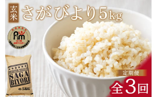 【11月から順次発送】 令和6年産 【定期便】 玄米 さがびより ５kg×３回 B705