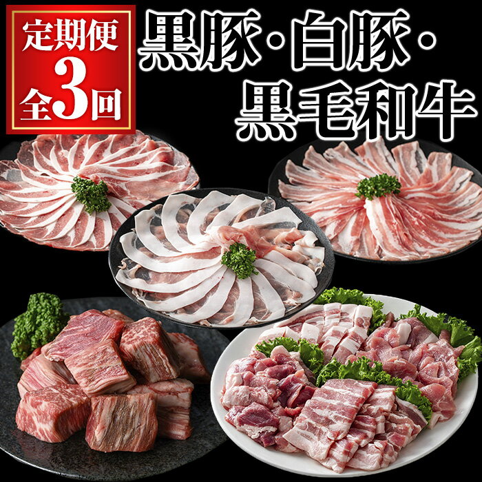 【ふるさと納税】【全3回定期便】黒豚・白豚・黒毛和牛の定期便 (合計3.2kg) 国産 鹿児島県産 豚 豚肉 小分け 冷凍 霜降り 食べ比べ 4種 セット ロース バラ モモ ウデ トロ豚 牛 黒毛和牛 A5 ヒレ サイコロステーキ ステーキ 焼肉 BBQ バラ しゃぶしゃぶ【KNOT】